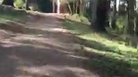 FAT BOY CARDIO