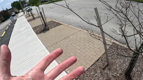 Episode 73 - The Cranky Arborist: Planting the right tree in the wrong place