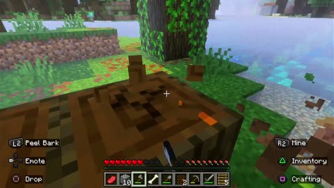 Minecraft