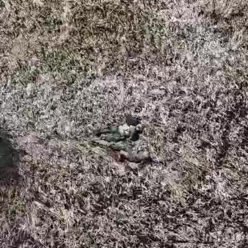 Newly Minted Russian Millionaires Figuring Things Out