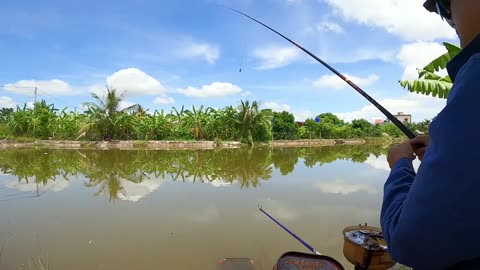 Chub Bait Fishing in Lake Rocky Shores