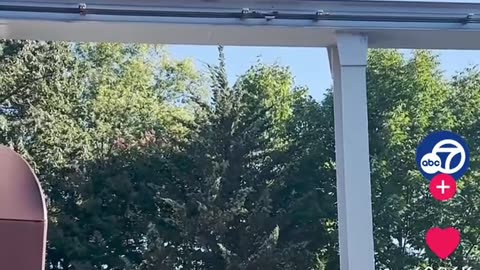 🚨🤣 Heroic Rescue at Hershey Park! Boy Saved From Monorail Track | FunFM
			