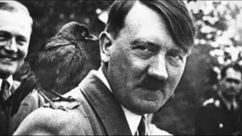 Hitler Loved Animals?! The Shocking Truth Behind Nazi Laws
