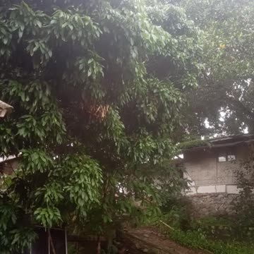 Citarik River Bridge for rafting