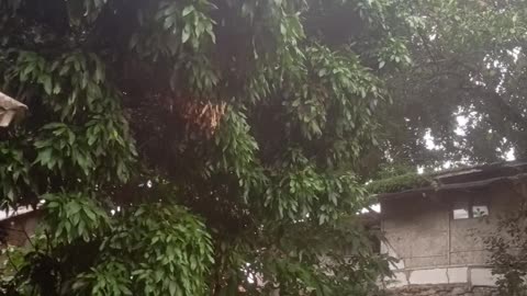 Citarik River Bridge for rafting