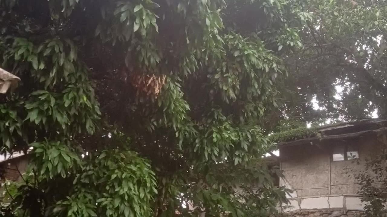 Citarik River Bridge for rafting