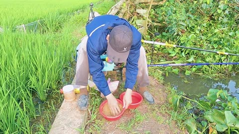 Flussromantik Ein Tag mit der Rute #Flussfischen #Fischjagd #Outdoor