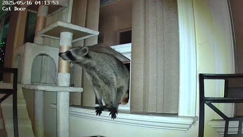 5 16 25 Critters