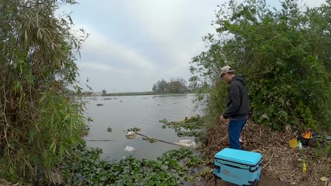 Bream Baiting in Serene Lake Bays