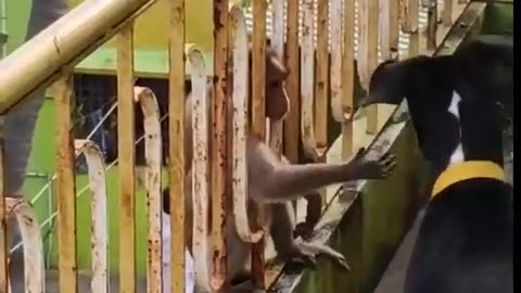 How to make tik tok funny shorts viral video