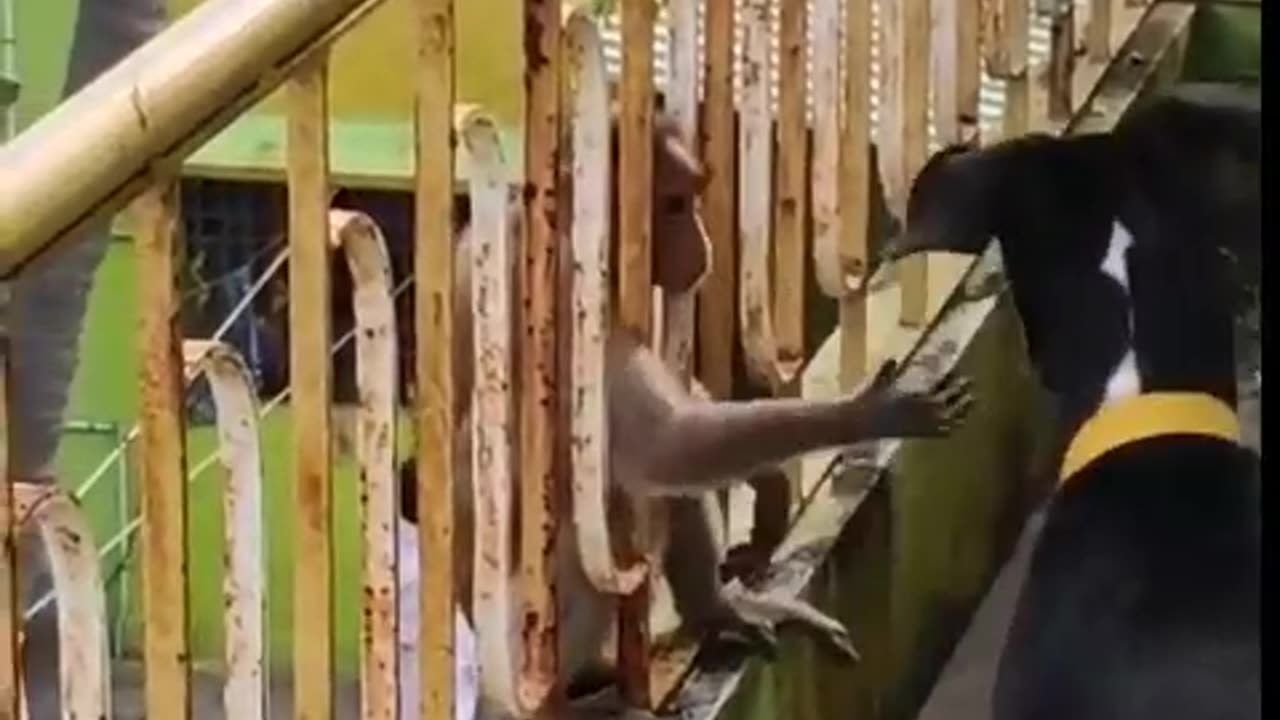 How to make tik tok funny shorts viral video