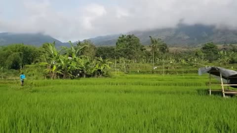 Soothing Sundanese Kecapi & Suling Music Amidst Breathtaking Natural Scenery