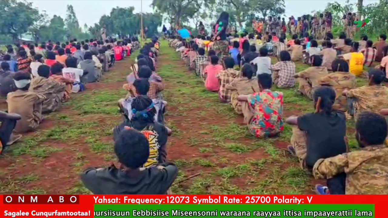 Oduu Waaree ONM-ABO Hagayya 30-2025 itti dhiyaadhaa!