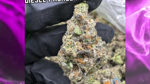 Gas Face | Exotic Indica | 28% THCa | Heavy Hitter | Limonene, Diesel Terps #thcareview #hempflower