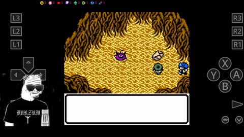 Dragon quest monsters 2
