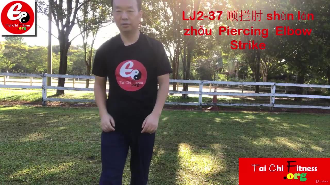 Aerobic Tai Chi Workout-039-Piercing Elbow Strike