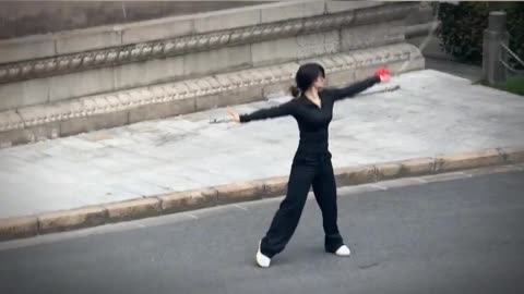The Peak of Martial Arts - Excellent Performance