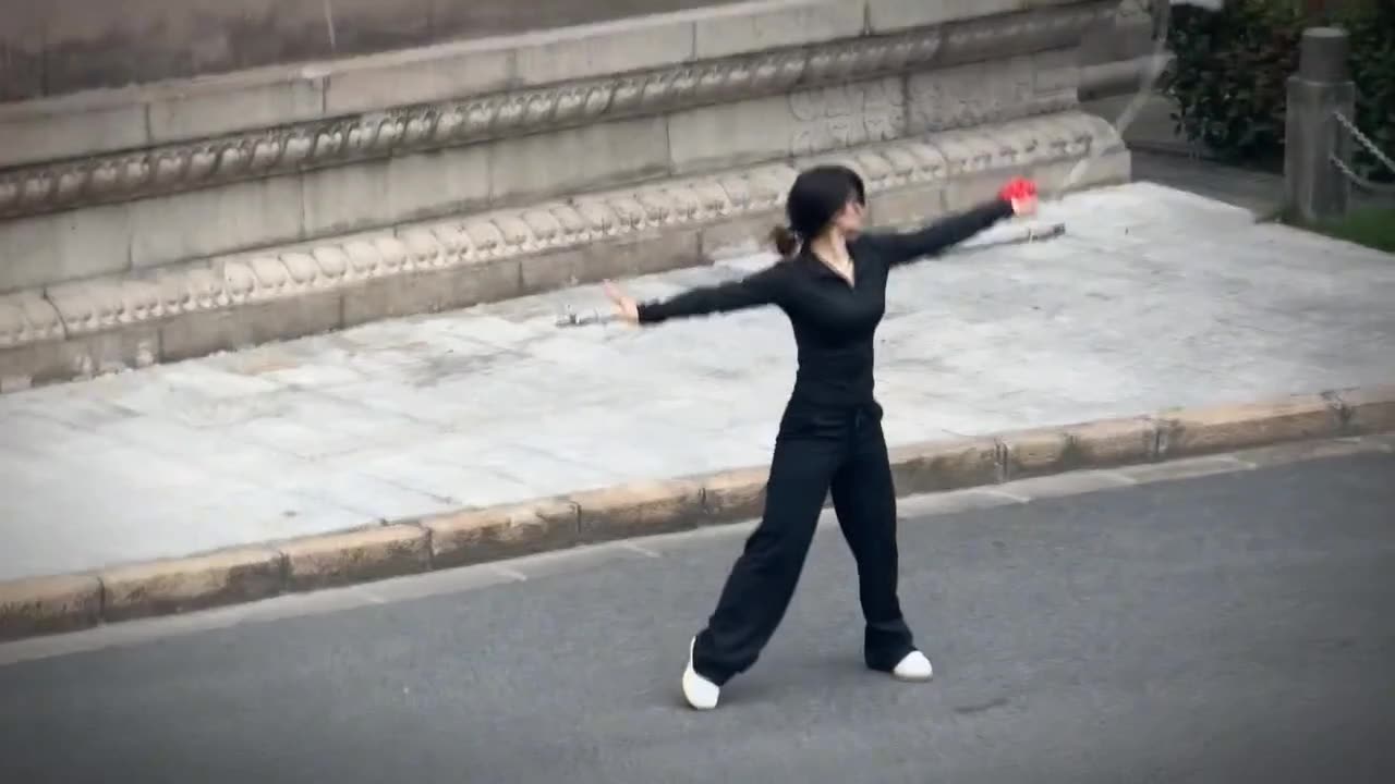 The Peak of Martial Arts - Excellent Performance