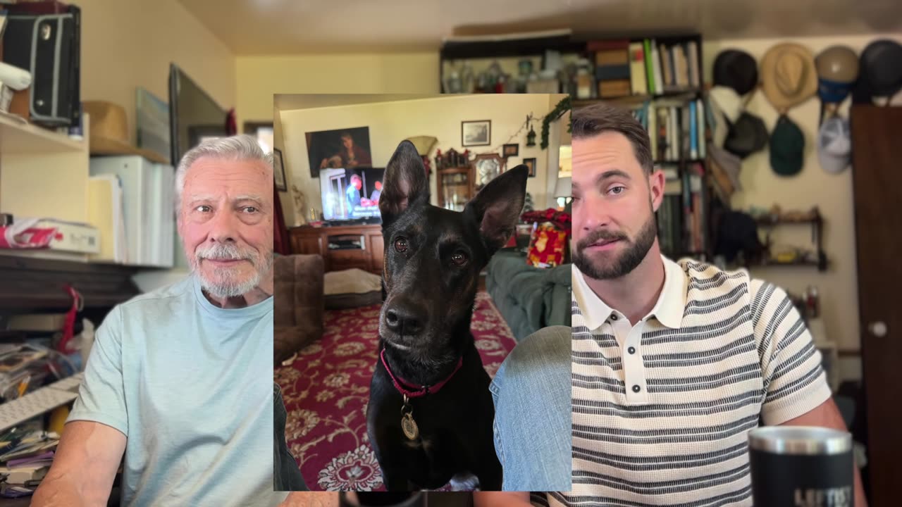 My Dog was bitten by a Rattlesnake!