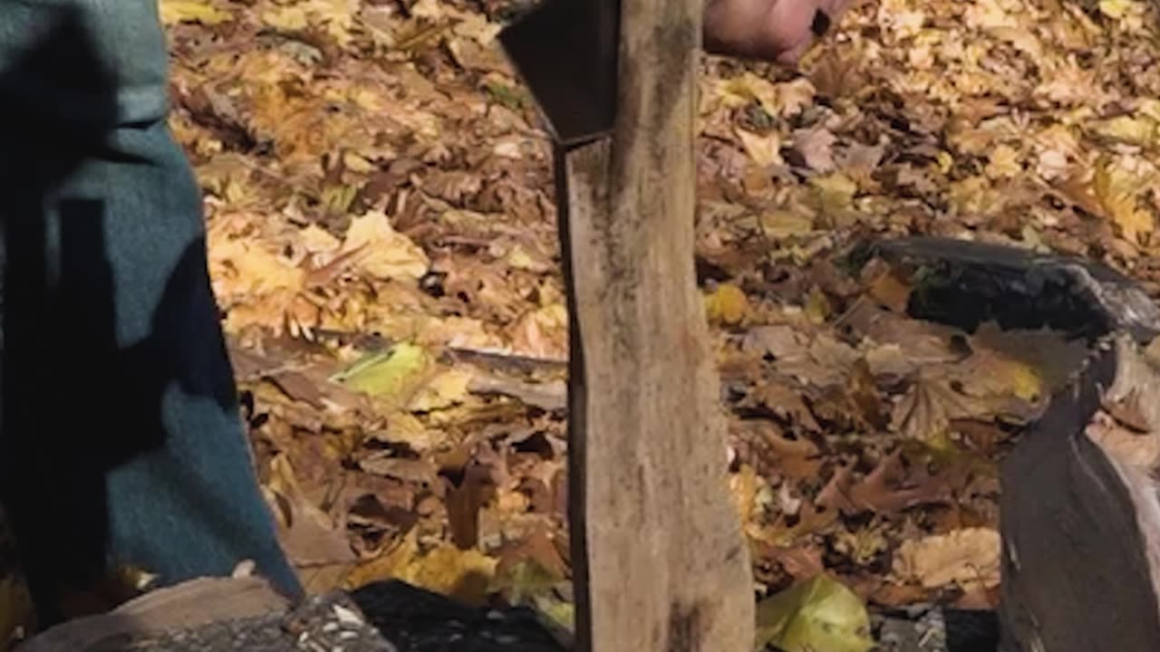 Can DOUG'S Knife Handle BUSHCRAFT?
