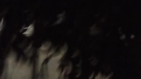 VID 20241201 012048