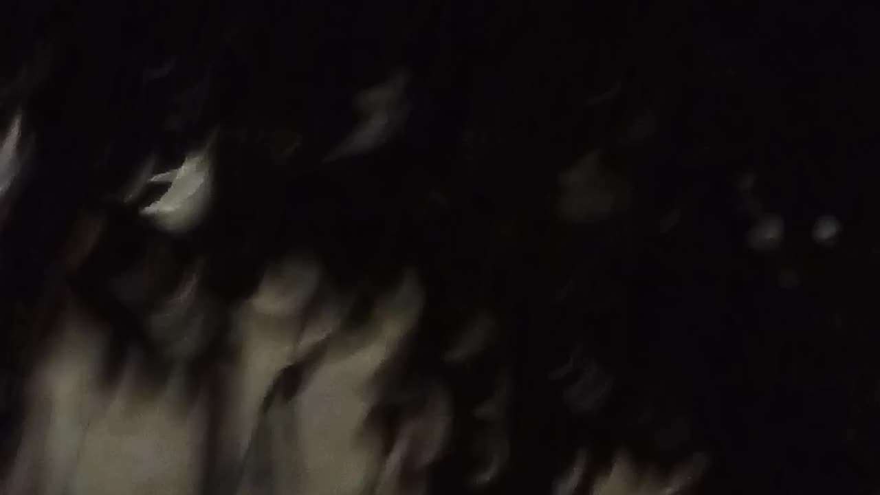 VID 20241201 012048