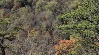 AIRPLANE ROCK HOCKING HILLS OHIO #OHIO #hockinghills
