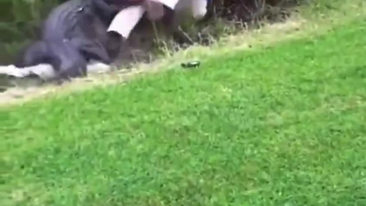 What an idiot