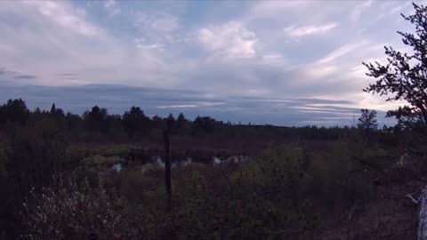 Time Lapse Video over a Beaver Pond in North East Michigan Wilderness.