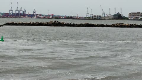 Liberty State Park | Jersey City, NJ
