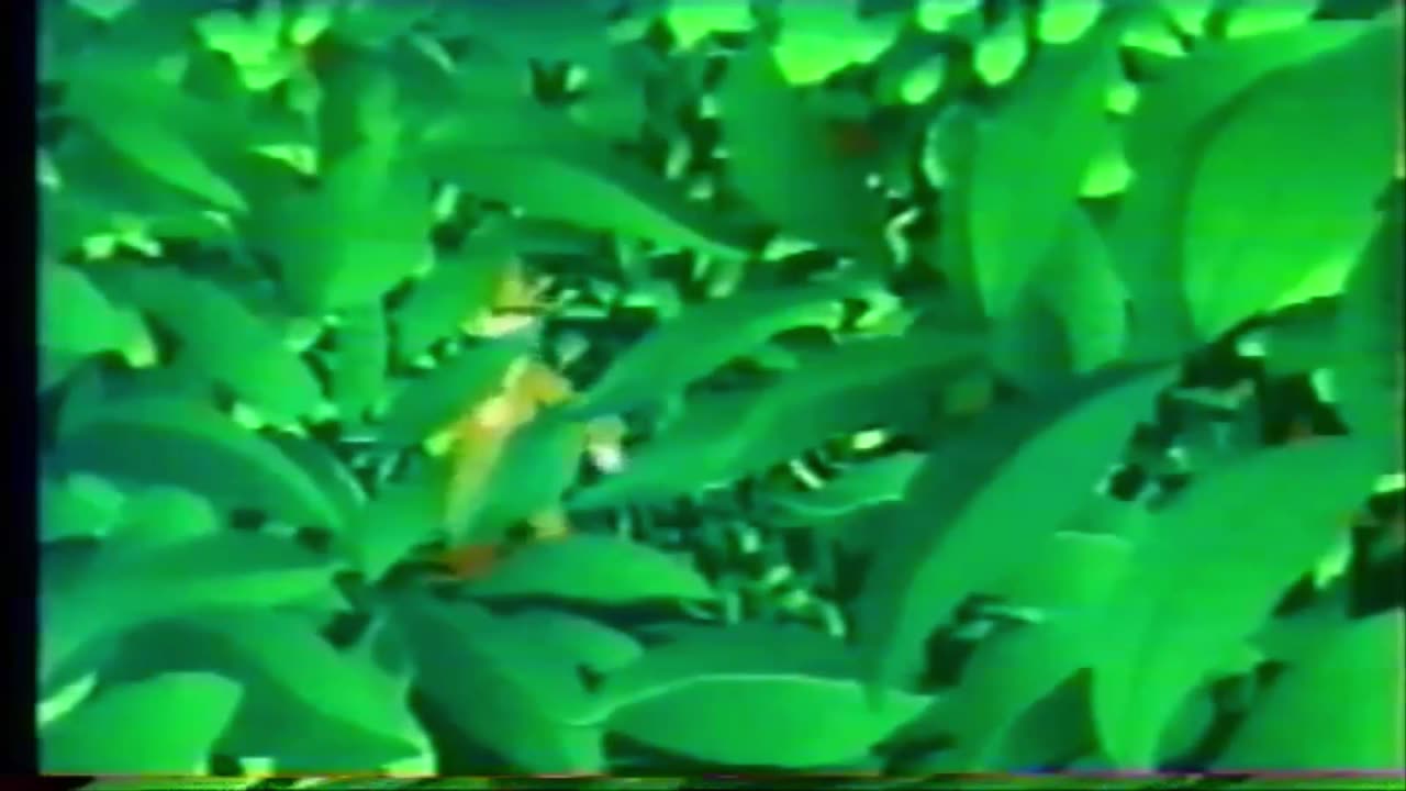 Classic Sesame Street Episode 2991