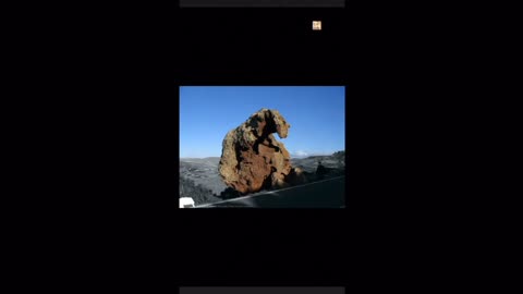 Giants Petrified in Time