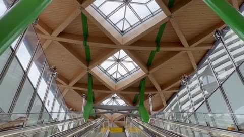 Daily Horoscope | Pisces 🌟