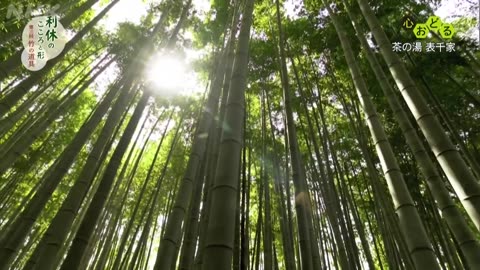 心おどる 茶の湯 表千家 利休のこころと形（3）竹の道具