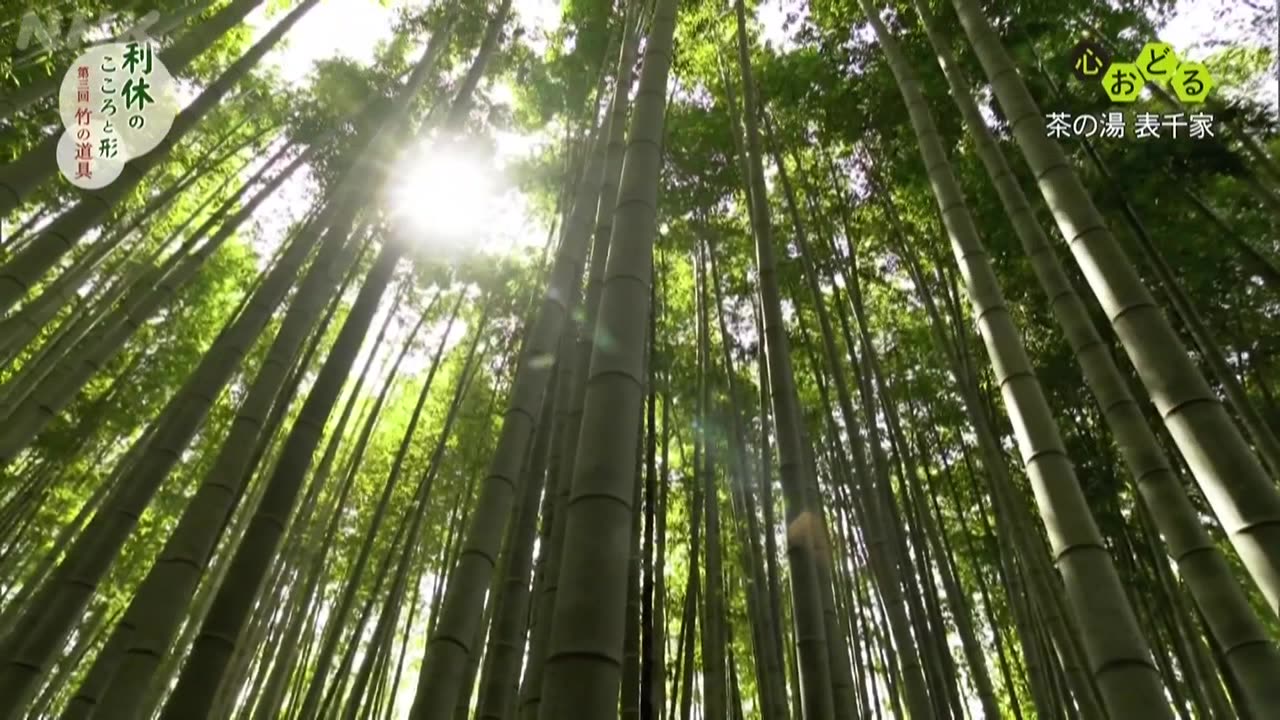 心おどる 茶の湯 表千家 利休のこころと形（3）竹の道具