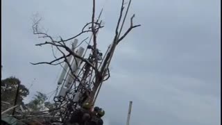 🇹🇭🏞️ Cambodia Thailand War | Thai Soldiers Celebrate Victory After Fierce Border Battle | RCF