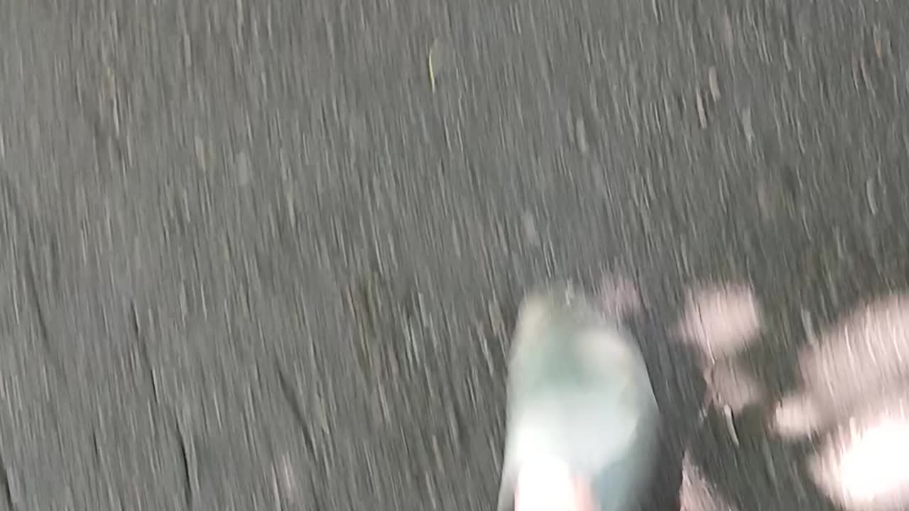 Guess this is the suicide part on fone to cops