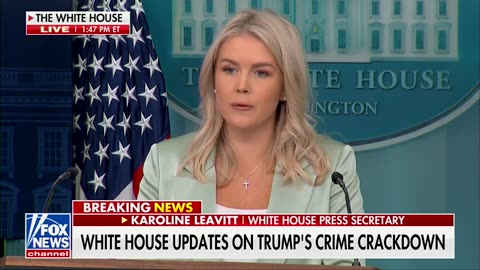 Karoline Leavitt Says Trump Is Open To Working With Red States To Clean Up Blue City Crime