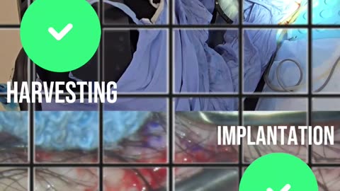 How Does Dr. Max Stand Out?