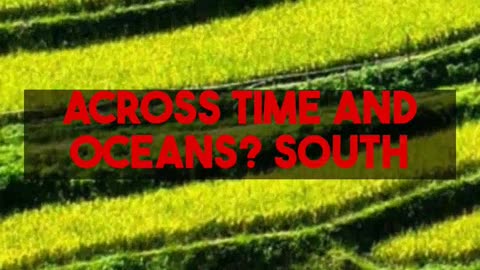 From Rice Fields to Freetown South Carolina Sierra Leone Ties