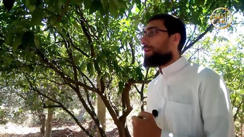 أليس فيكم رجل رشيد ؟