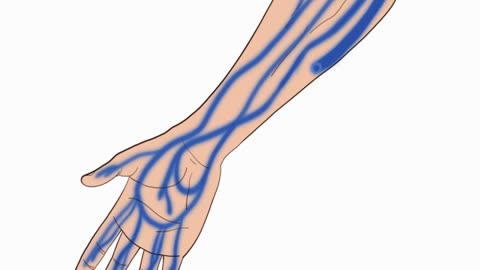 03.125.-body-tubes-and-friedrich-grantz-priest