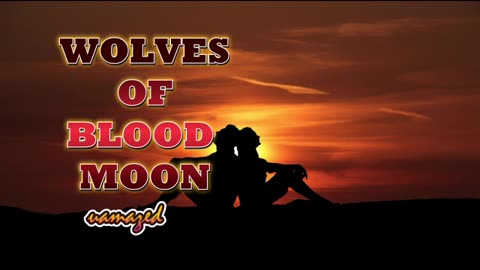 WBM00Nep-----370-71.mp4