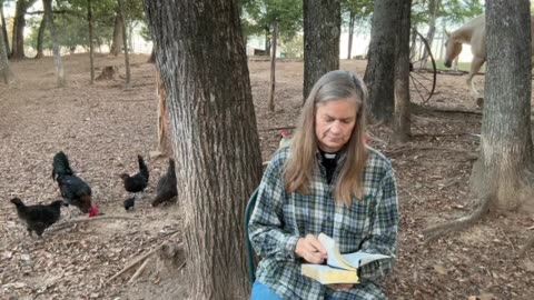 Morning Prayer, Daily Office