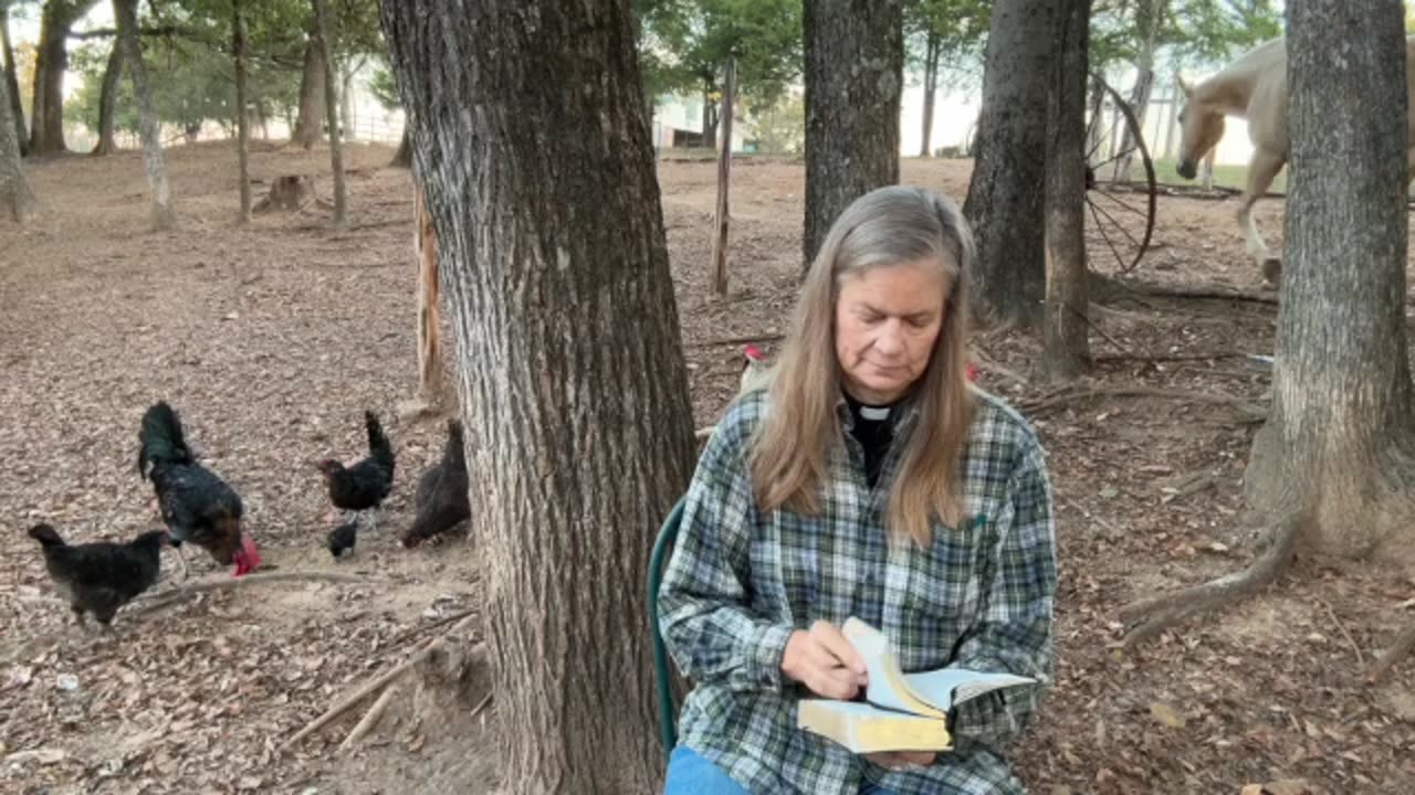 Morning Prayer, Daily Office