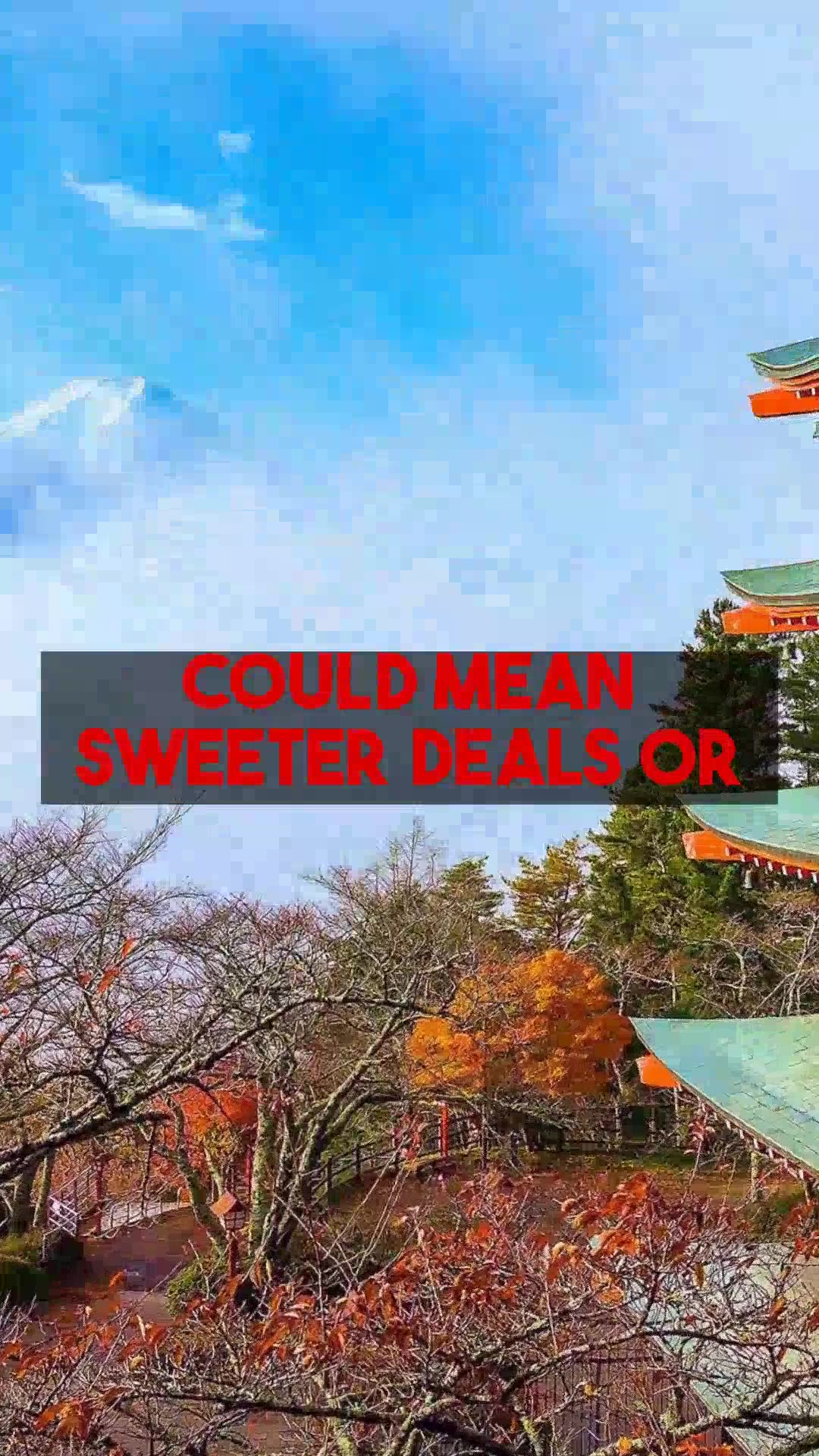 Middle East Airlines A321neoXLR and A330neo What to Expect by 2026