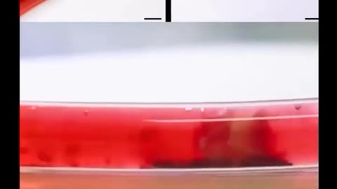 These tiny robots will blow up you mind
