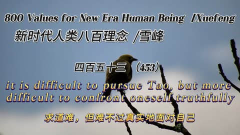 800 Values for New Era Human Being（453）