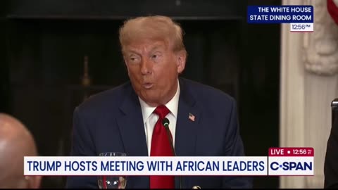 'Go a little bit quicker': Trump scolds African leaders for talking too much