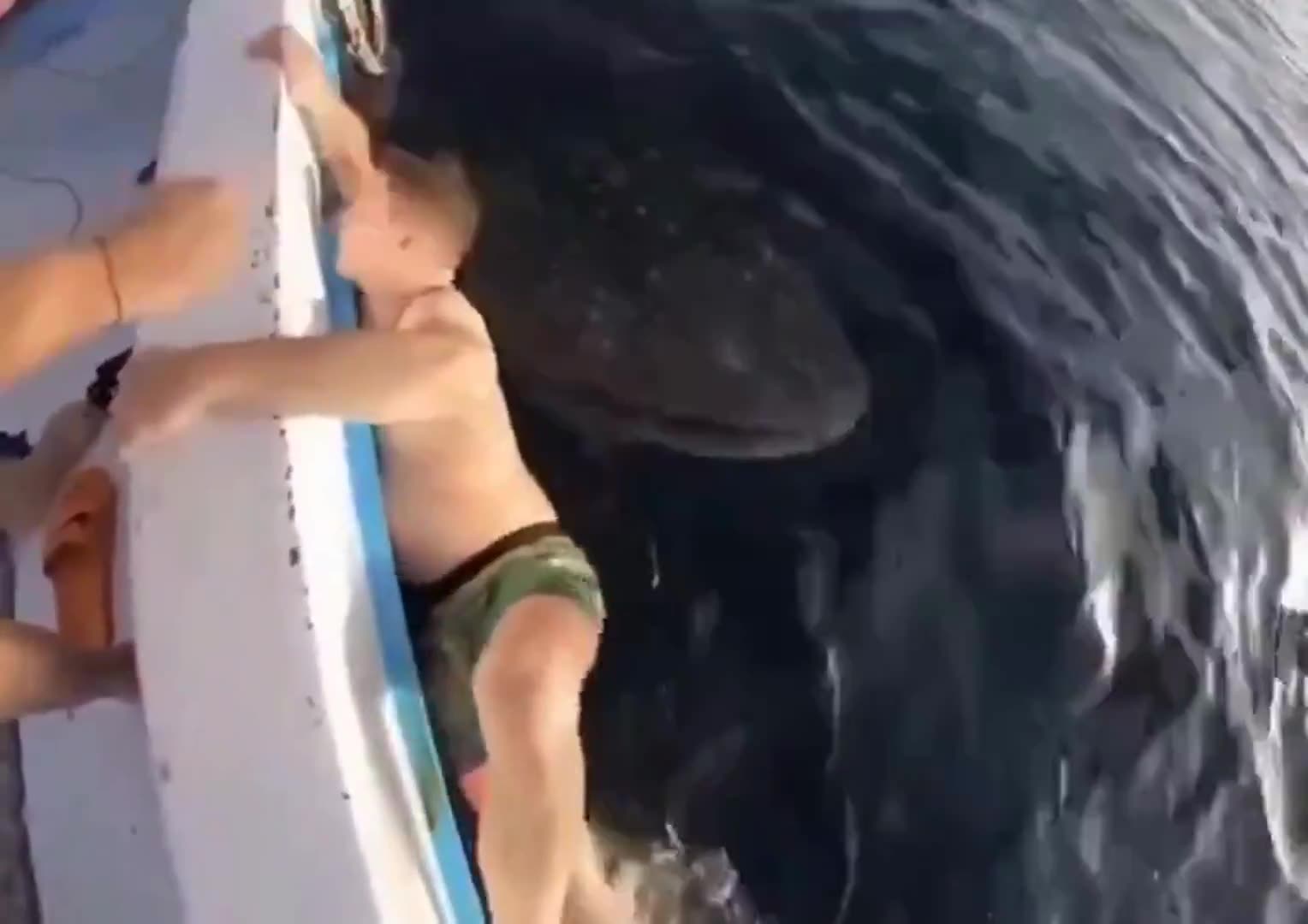 😂😂😂 he begged like a baby